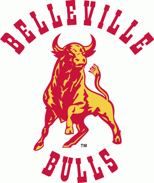 Belleville Bulls 1981-1997 primary logo iron on transfers for clothing